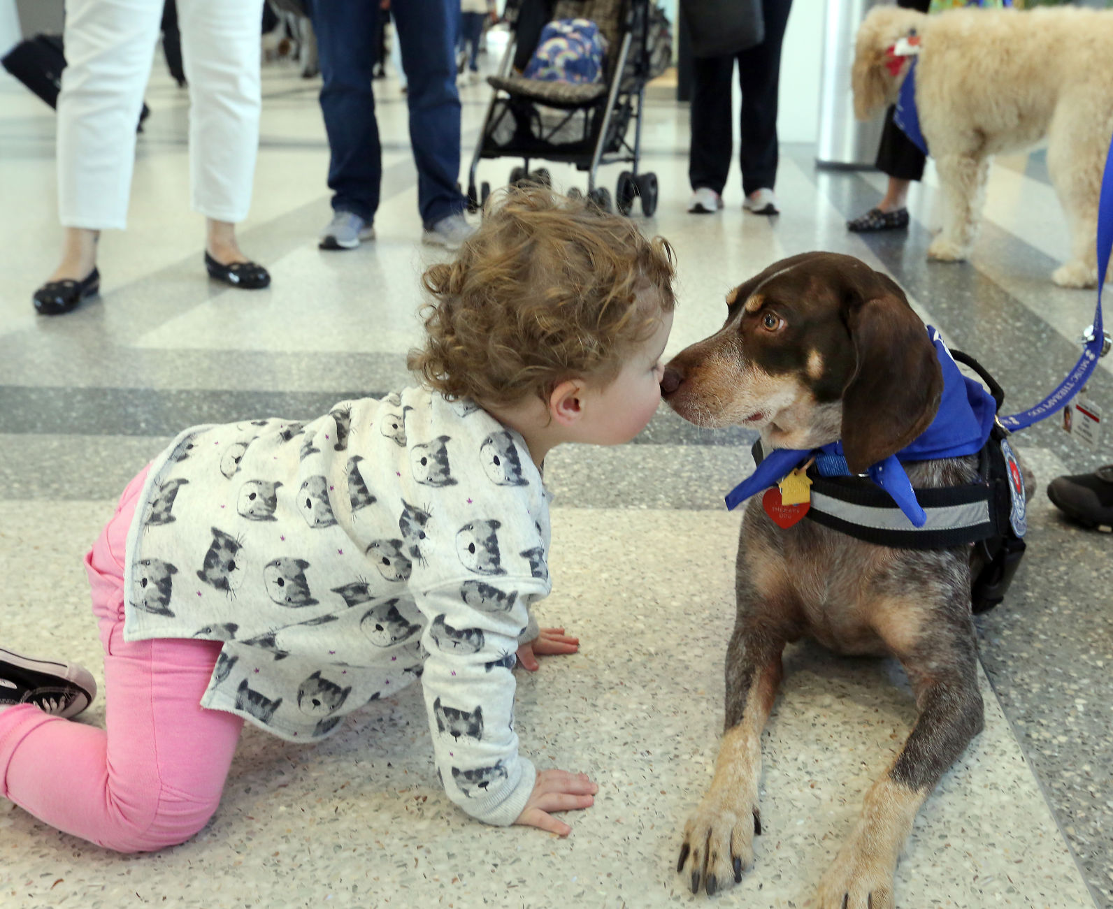 MUSC Therapy Dogs (copy)